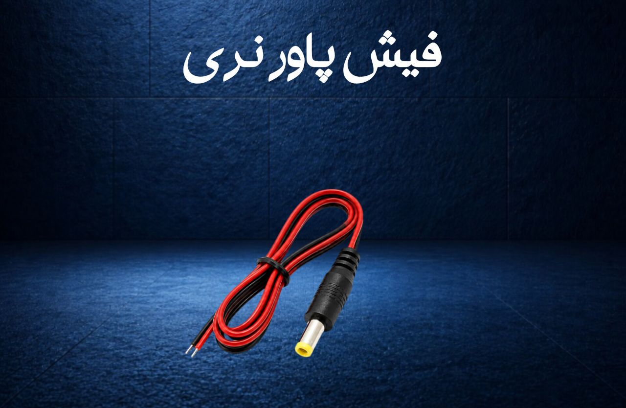 فیش پاور نری دوربین مداربسته